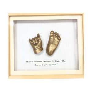 Bronze 3D Casts In White Frame